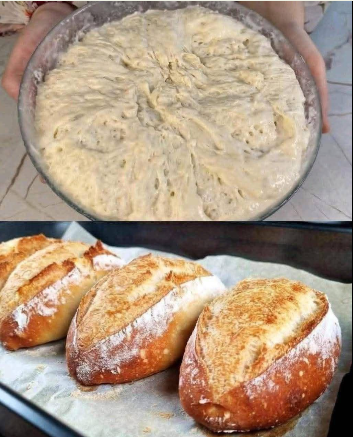 Homemade Bread Recipe