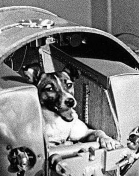 Laika: The Dog Who Traveled to Space