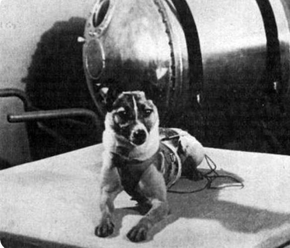 Laika: The Dog Who Traveled to Space 