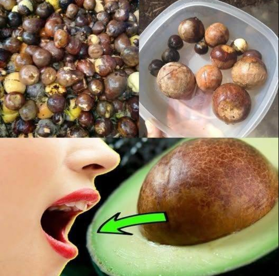 Eat Avocado Seeds: What Really Happens to Your Body When You Consume Them?